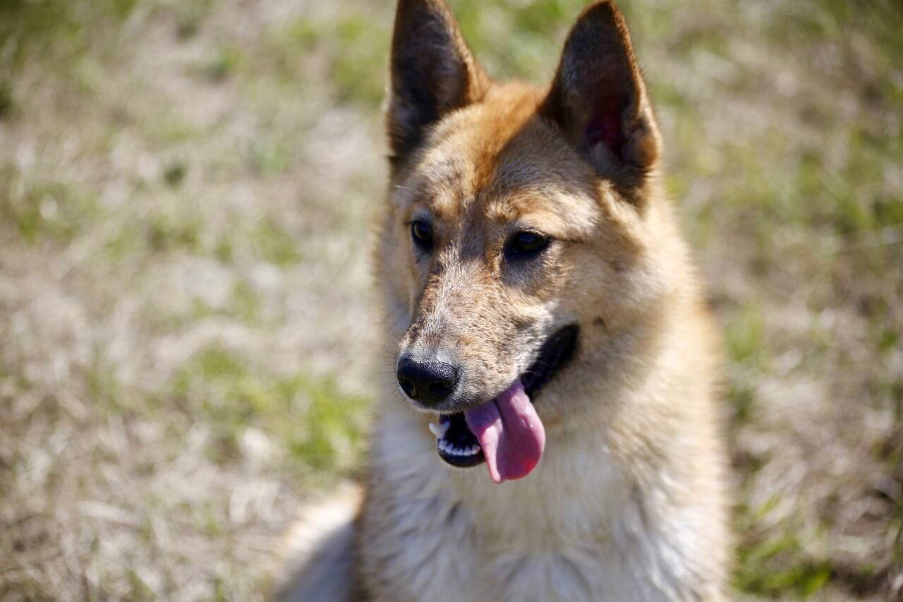 Луна