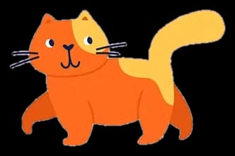 Ночка